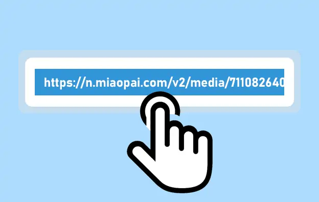 Miaopai Video Downloader